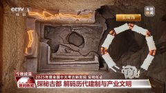 究人们之间的DNA关